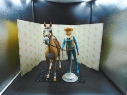 jane west horse good